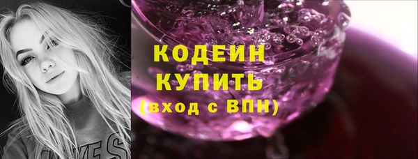 дживик Семилуки