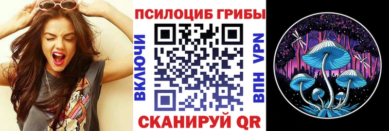 цены   Малгобек  Псилоцибиновые грибы Psilocybe 